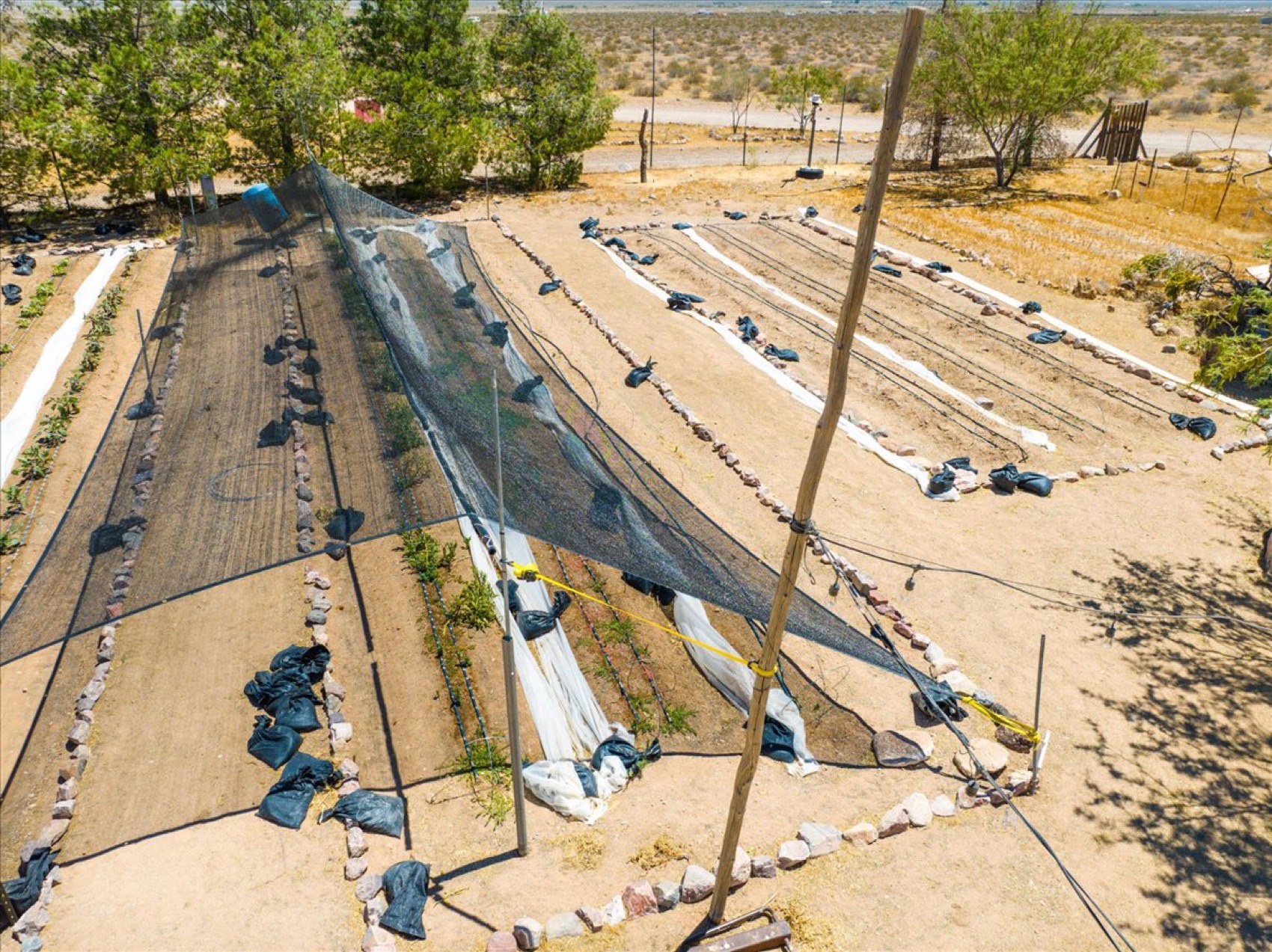 The garden rows from above