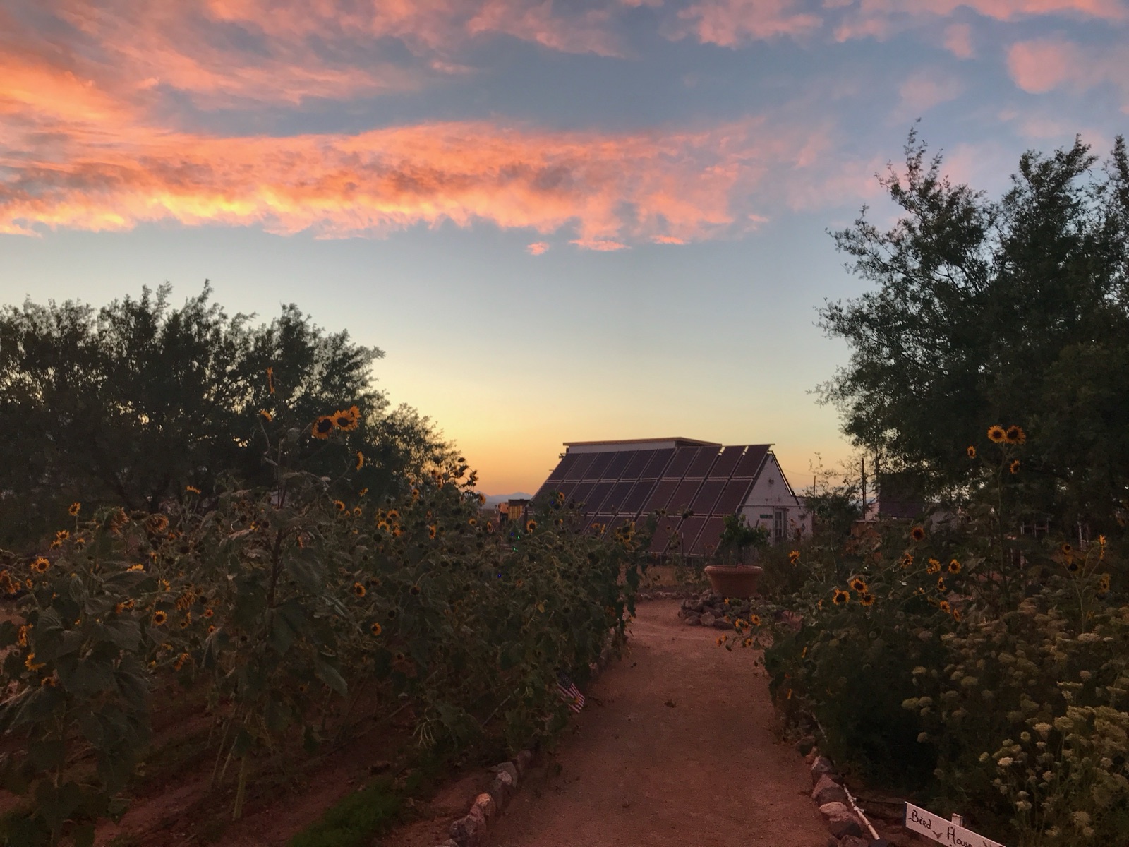 Dusk over the gardens