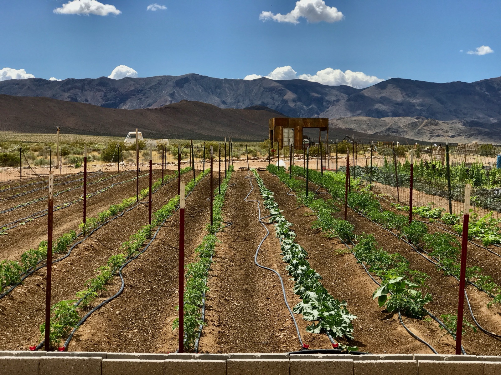 The working gardens looking toward the mountains
