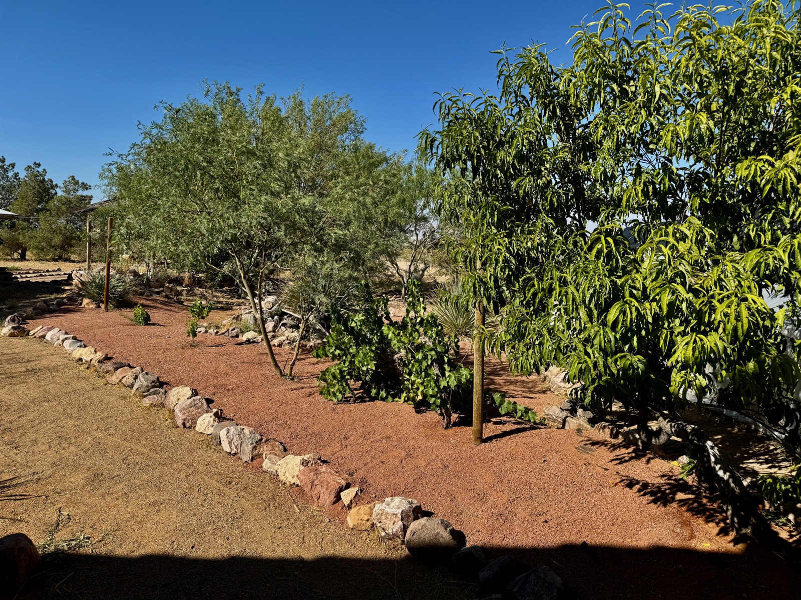 The orchard and stone-lined paths