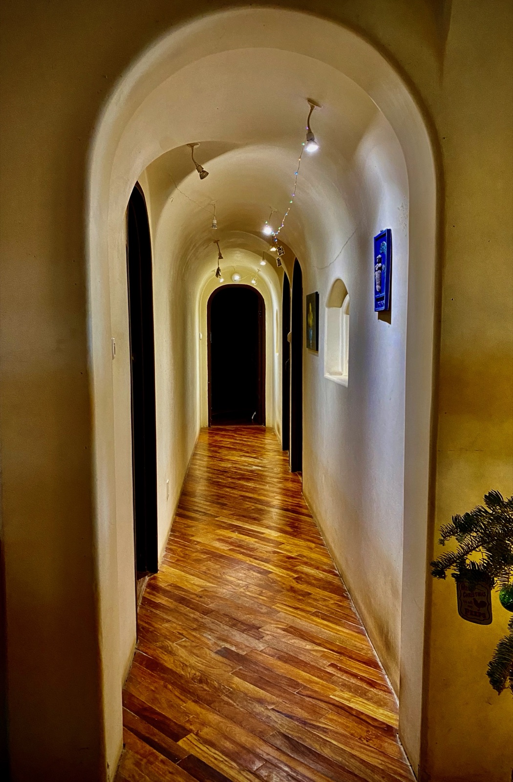 The vaulted arched central hallway